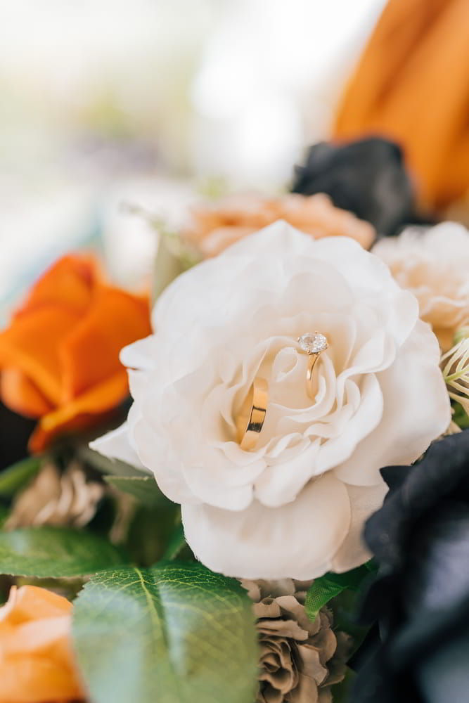 ALF04454 kezia and evans kezia and evans